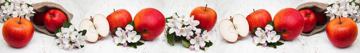 skinali 2721
